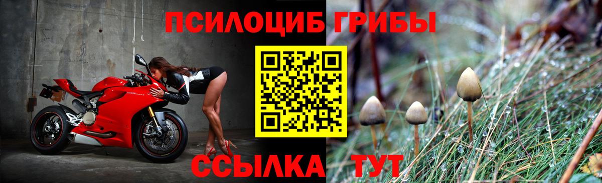 Галлюциногенные грибы GOLDEN TEACHER Новочеркасск