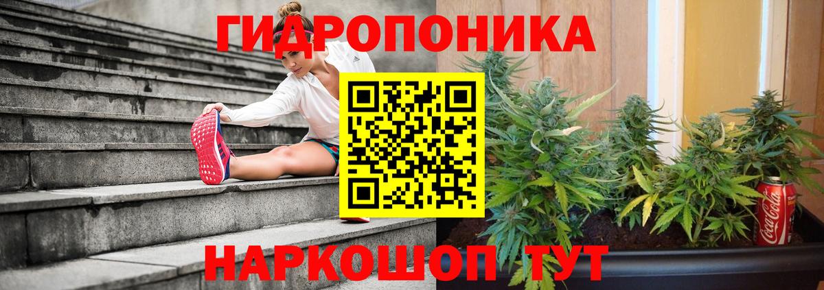 Новочеркасск  Конопля планчик  Канабис White Widow  Конопля Amnesia  Вход с VPN 